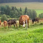 Rutscherhof *
