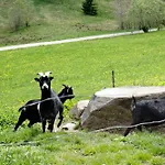 Rutscherhof Breitnau
