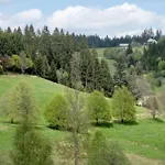 Rutscherhof Lejlighed Breitnau