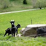 Rutscherhof Appartamento *