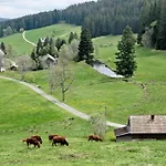 Appartamento Rutscherhof Breitnau