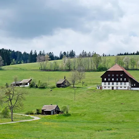 Rutscherhof Apartment *