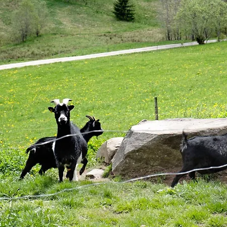 Rutscherhof Breitnau