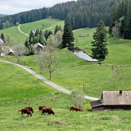 Apartment Rutscherhof
