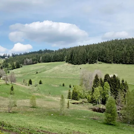 Lägenhet Rutscherhof Breitnau