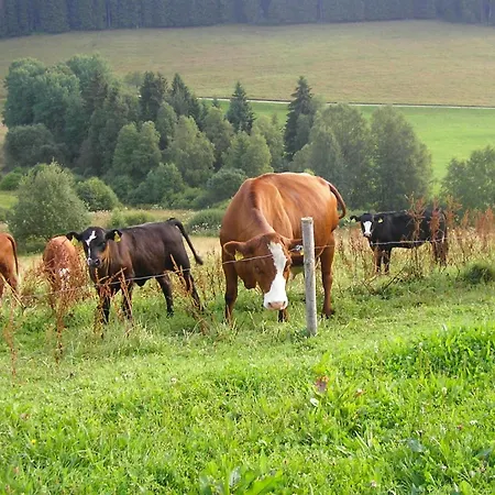 Rutscherhof Breitnau