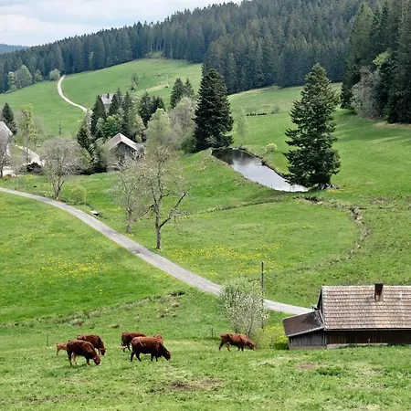 Apartment Rutscherhof Breitnau